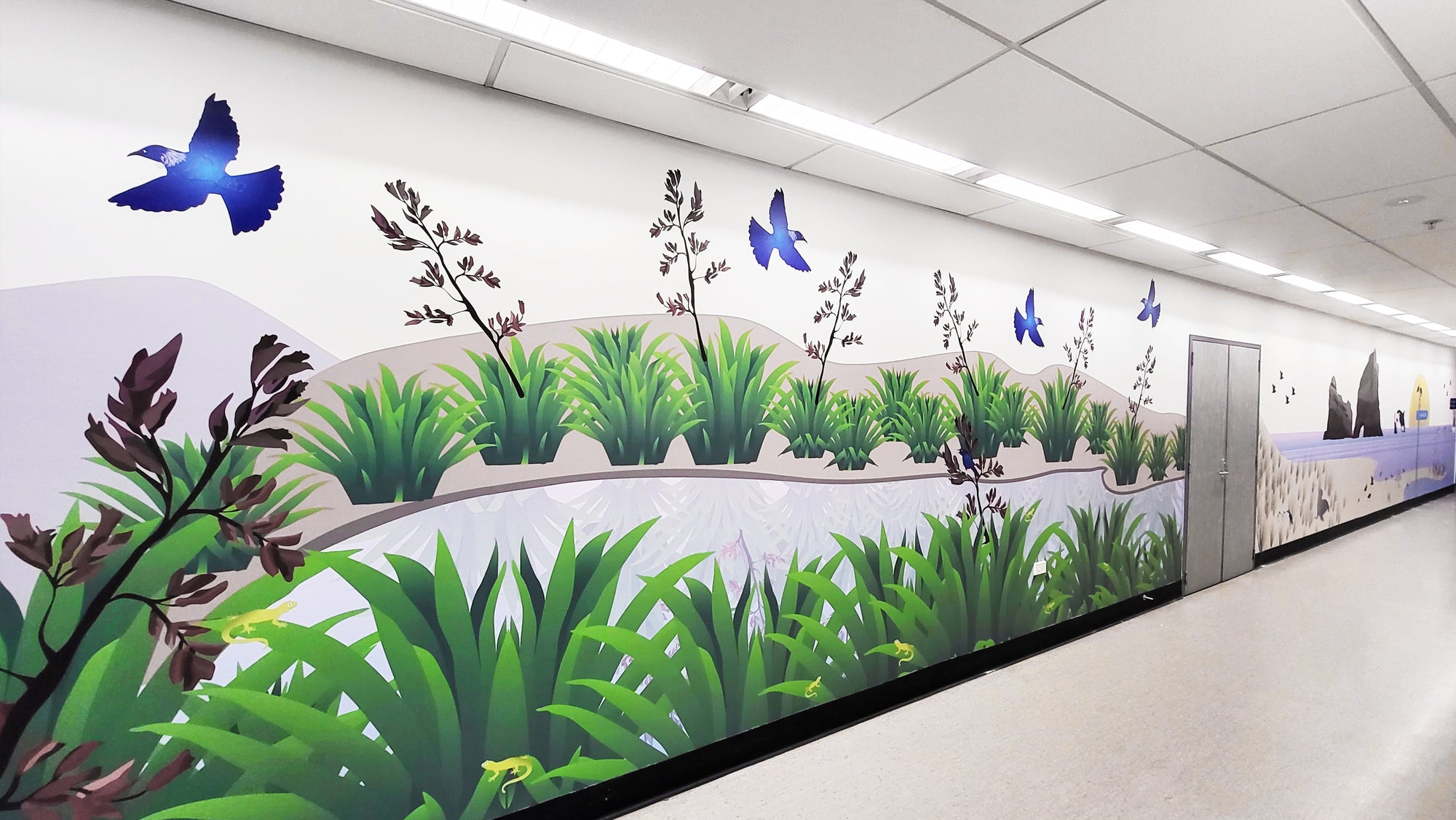 Transforming and inspiring NZ Healthcare