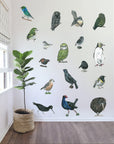 Native Bird Set