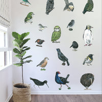 Native Bird Set