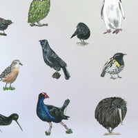 Native Bird Set