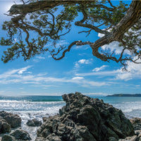 Pohutukawa Beach Mural