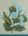 Forget me nots