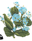Forget me nots