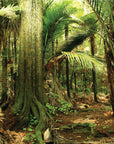 Enter the Forest Mural