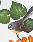 Fantail Kawakawa Bouquet