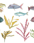 NZ Seaweed and Native Fish
