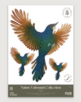Tūī A2