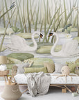 Spectacular Swans