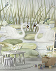 Spectacular Swans