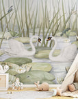 Spectacular Swans