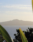 Window to Rangitoto Mural