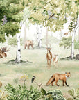 Woodland Wonders