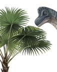 Dino Jive Set