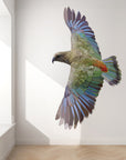 Geometric Flying Kea Wall Decal