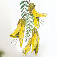 Kōwhai wall decal