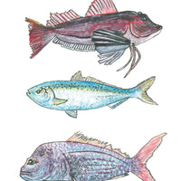 NZ Native Fish