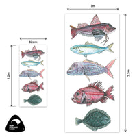 NZ Native Fish