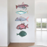 NZ Native Fish