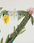 Native Zest