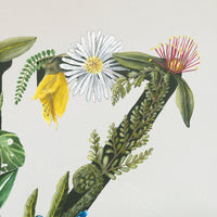 Native Zest