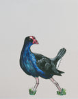 Nikau Trees with Pukeko