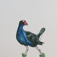 Nikau Trees with Pukeko