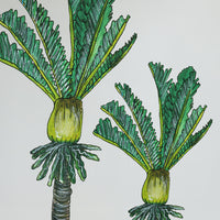Nikau Trees with Pukeko