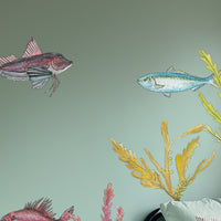 NZ Seaweed and Native Fish