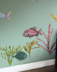 NZ Seaweed and Native Fish