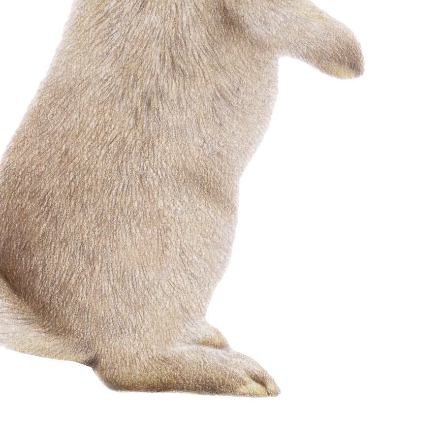 Bunny and Butterfly by Olivia Bezett, original artwork detail showing the standing rabbit’s body and feet.