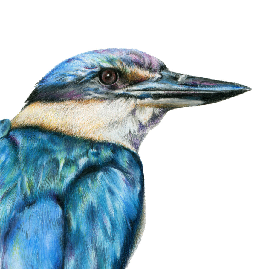 Kōtare by Olivia Bezett, original artwork detail showing the kingfisher’s eye, beak and blue head.
