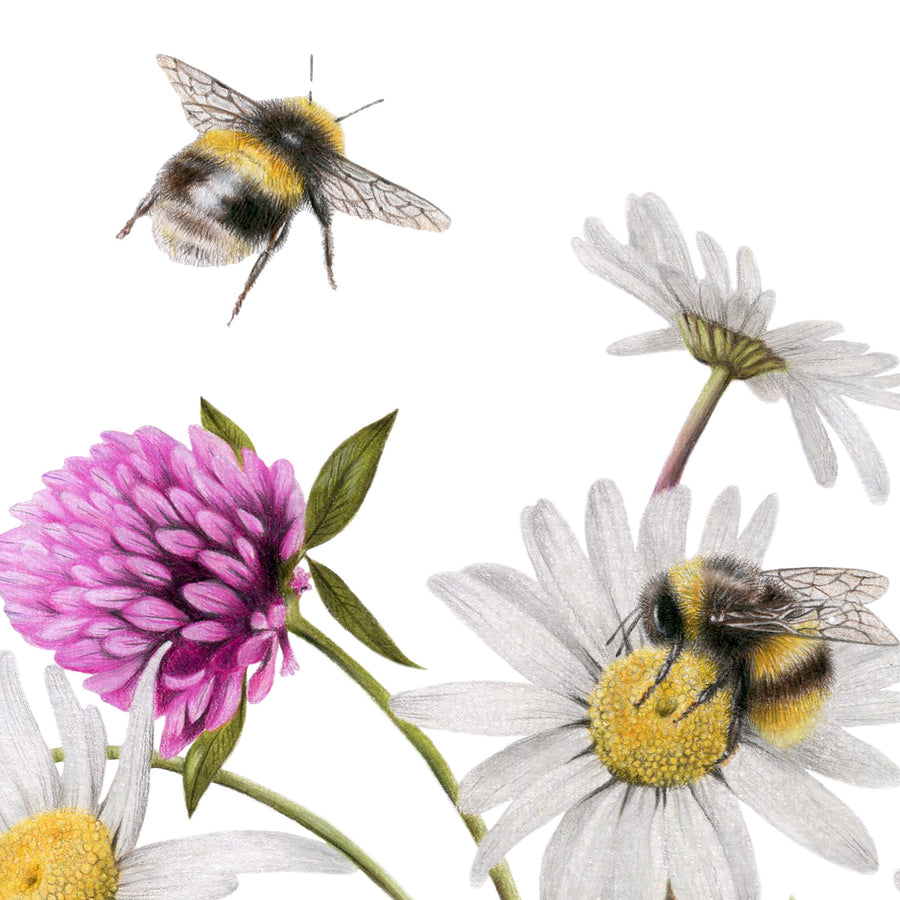 Wildflower Bees by Olivia Bezett, original artwork detail showing a hovering bee and the outer wildflowers.