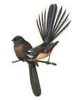 Perching Fantails Wall Decal