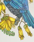 Tūī kōwhai collab