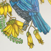 Tūī kōwhai collab