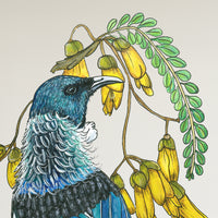 Tūī kōwhai collab