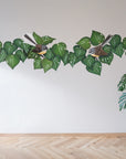 Fantails in Kawakawa