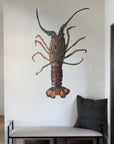 NZ Native Crayfish