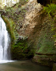 NZ Waterfall Mural 2
