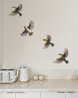 Flying Waxeyes