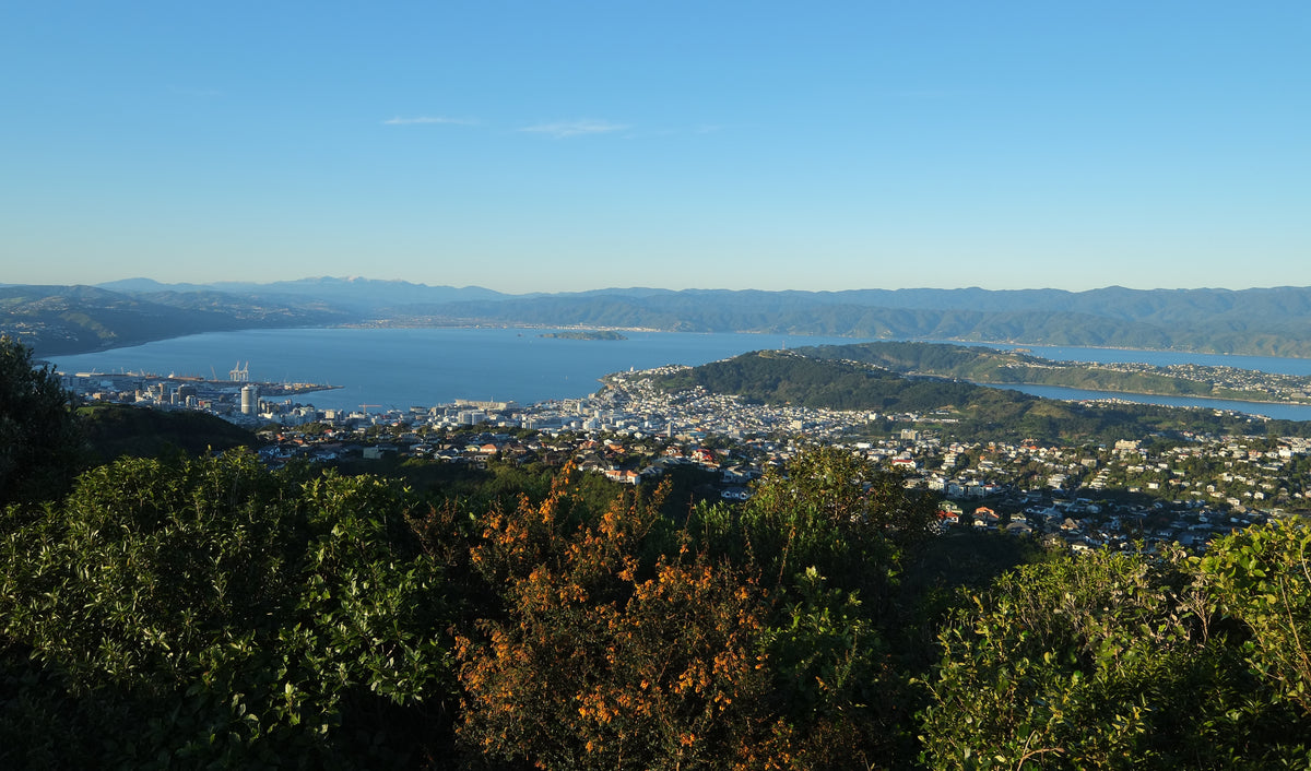 Wellington Harbour and the city viewed from Brooklyn Hill in 2021