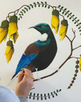 Artistic Series Tui in Kowhai Art Print