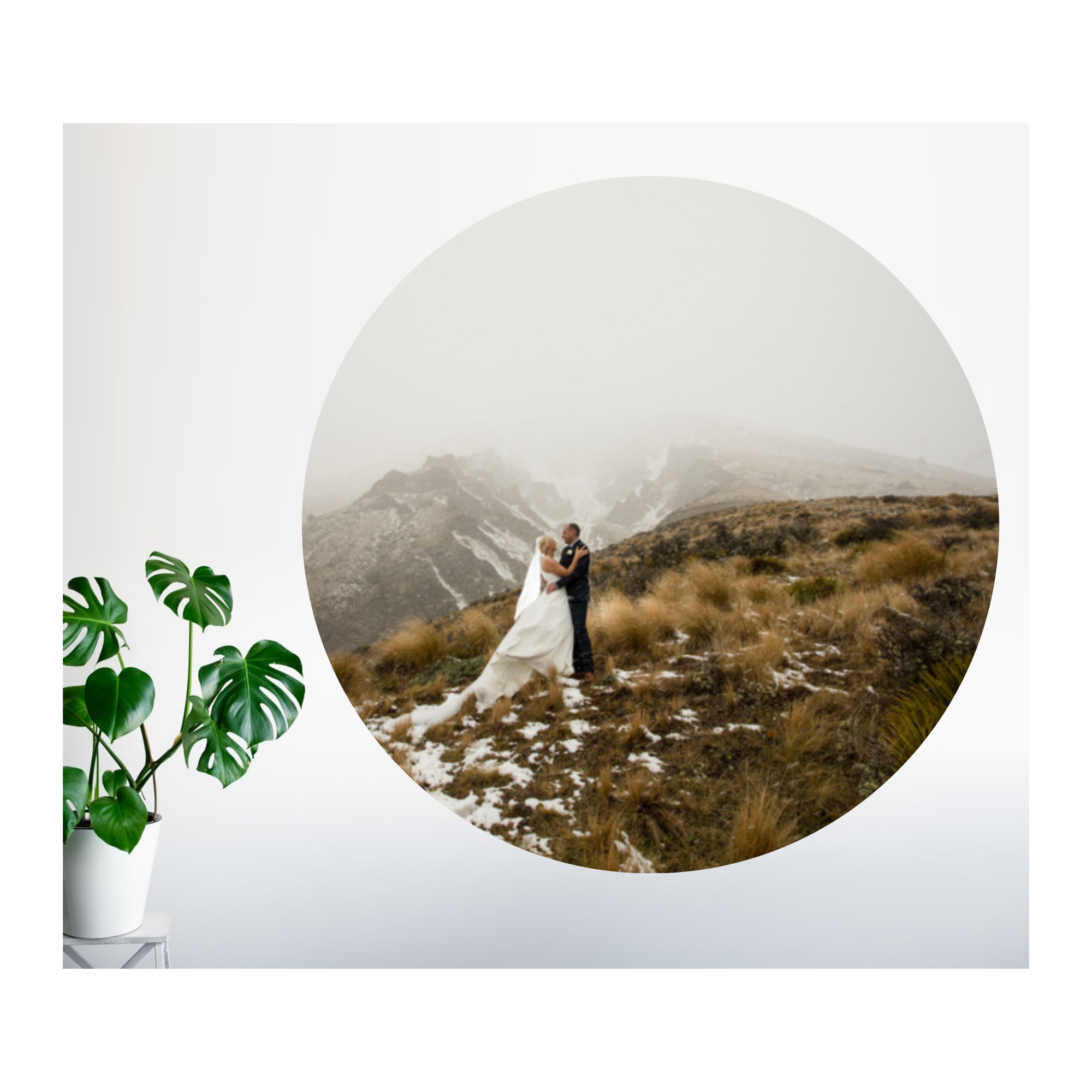 Custom Design Mural Dot