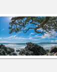 NZ Summer Art Print Your Decal Shop Wall Decal NZ