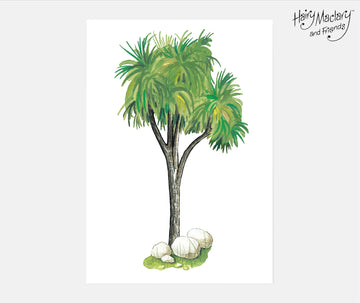 Hairy Maclary Cabbage Tree Art Print
