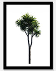 Cabbage Tree Art Print Your Decal Shop Wall Decal NZ