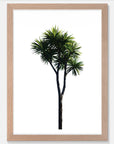 Cabbage Tree Art Print Your Decal Shop Wall Decal NZ