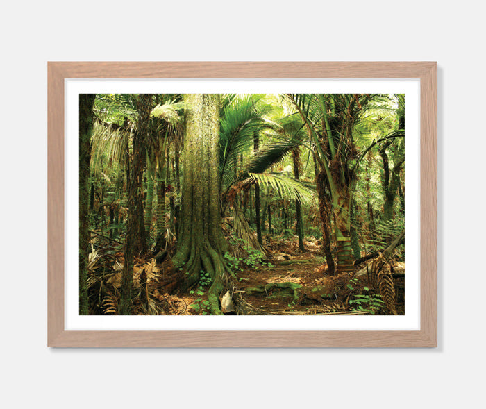 Enter the Forest Art Print Your Decal Shop Wall Decal NZ