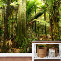 Enter the Forest Mural Your Decal Shop Wall Decal NZ