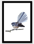 Fantail Art Print Your Decal Shop Wall Decal NZ